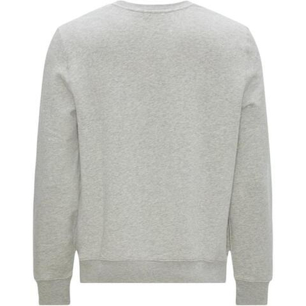 Толстовки Polo Ralph Lauren FW22, 710853308-001