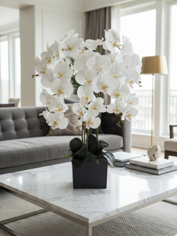 Искусственные Орхидеи белые 5 веток 75см в кашпо Лофт