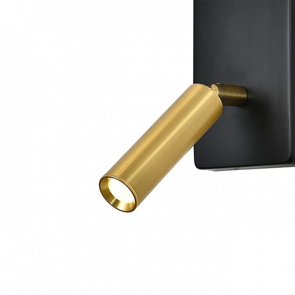 Бра с подсветкой Escada 598 598/1A Black/Brass