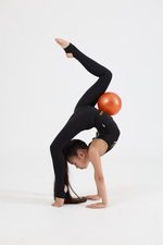 Борцовка Гран При