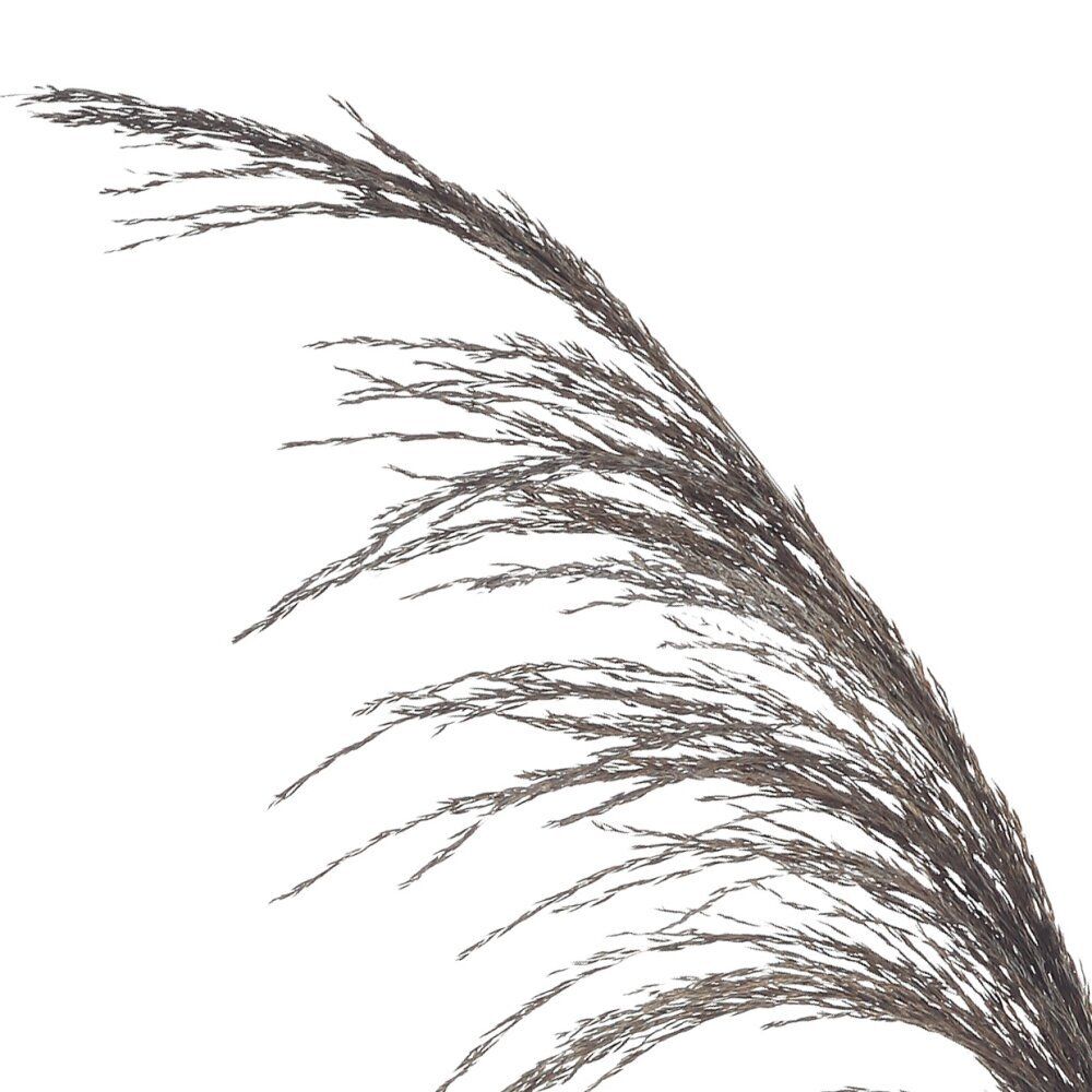 GAEM Ветка "Сухоцвет", L15 W15 H95 см