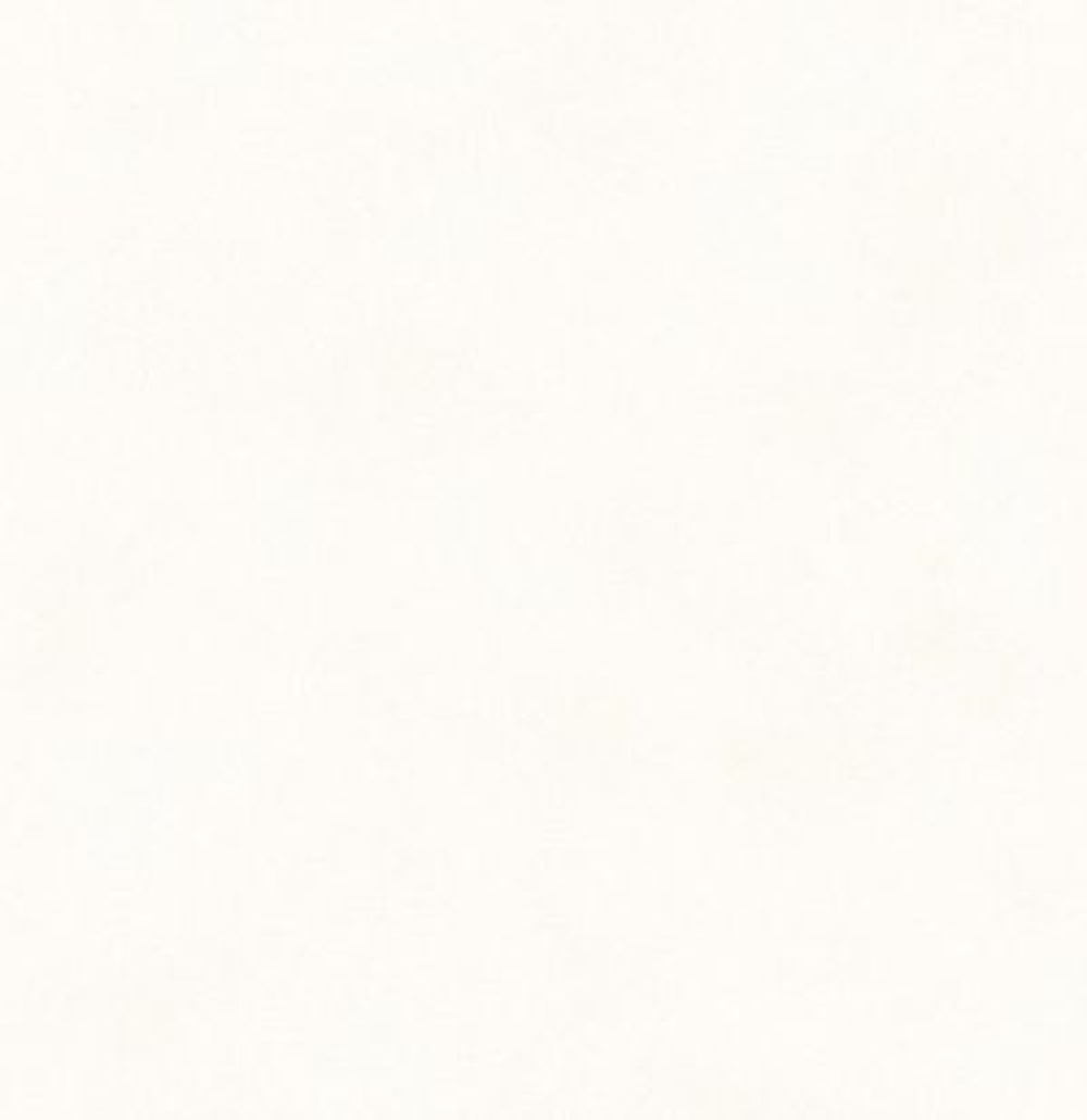 Обои матовые с иммитацией штукатурки BLONE1001