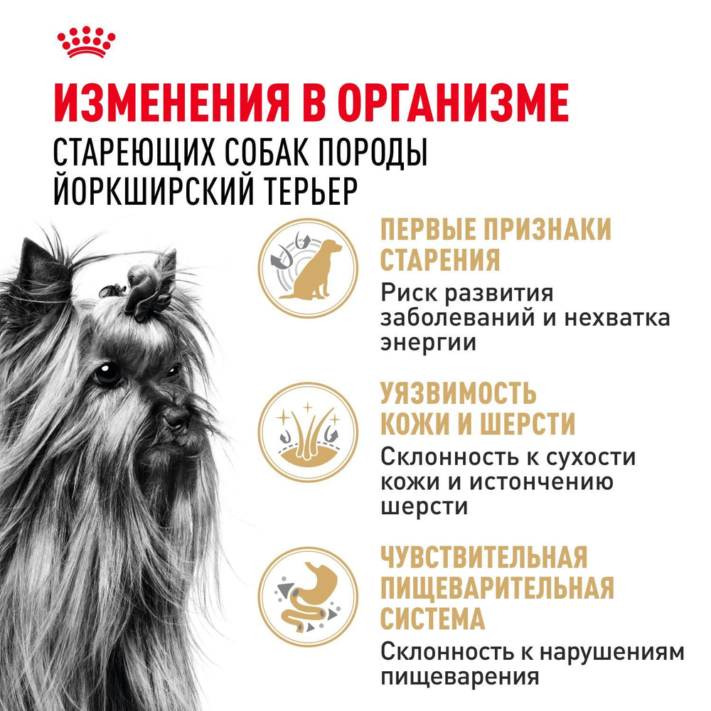 Royal Canin Yorkshire Terrier 8+ Корм сухой для стареющих собак породы Йоркширский Терьер 1,5кг