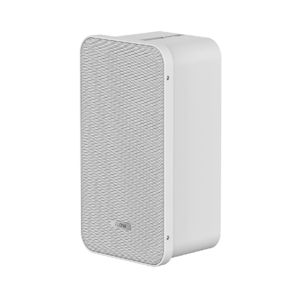 Громкоговоритель настенный iFLOW F-AA-420V