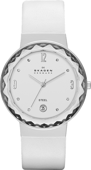 Наручные часы Skagen SKW2003