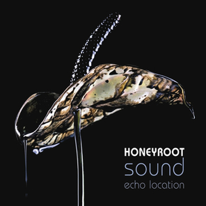Honeyroot / Sound Echo Location (RU)(CD)