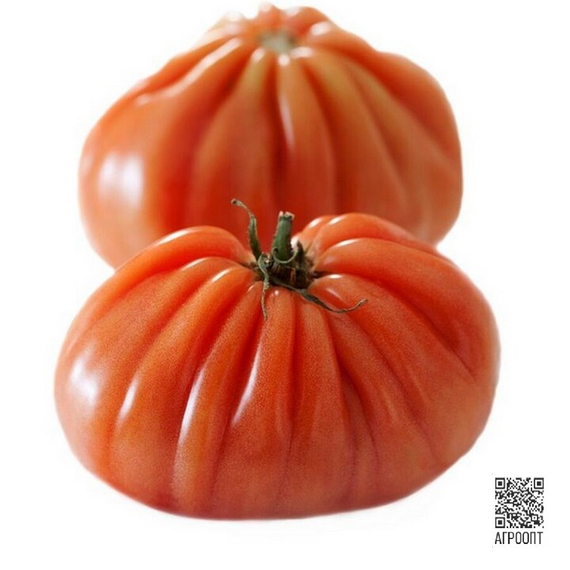 Ругантино F1 семена томата индетерминантного (Rijk Zwaan / Райк Цваан) – фото 7