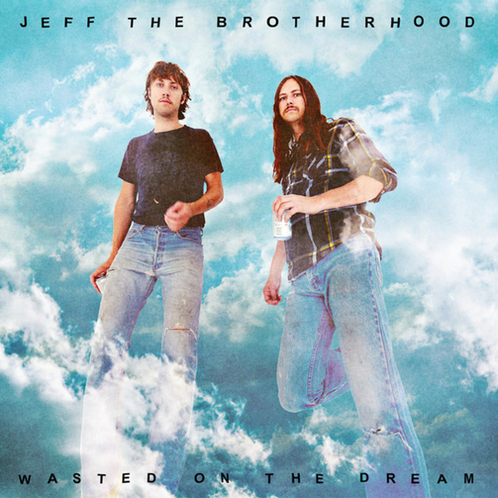 Jeff The Brotherhood / Wasted On The Dream (LP)