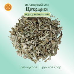 Исландский мох цетрария. Измельченный.