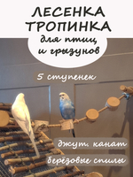 Лесенка тропинка для птиц и грызунов