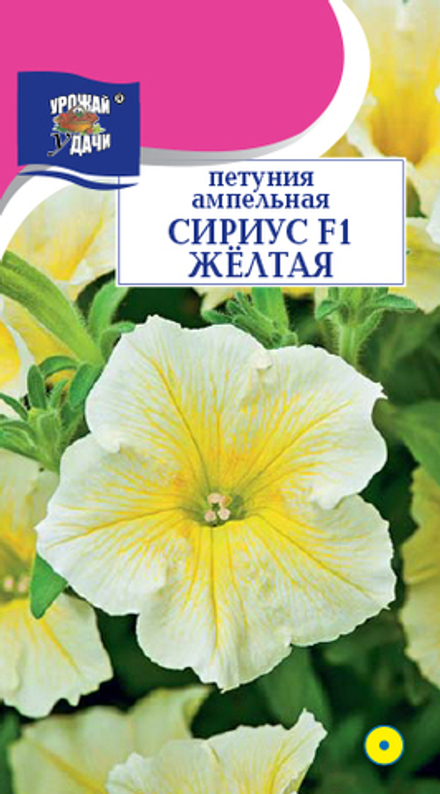 Петуния СИРИУС, Жёлтая, F1, 10шт УУ