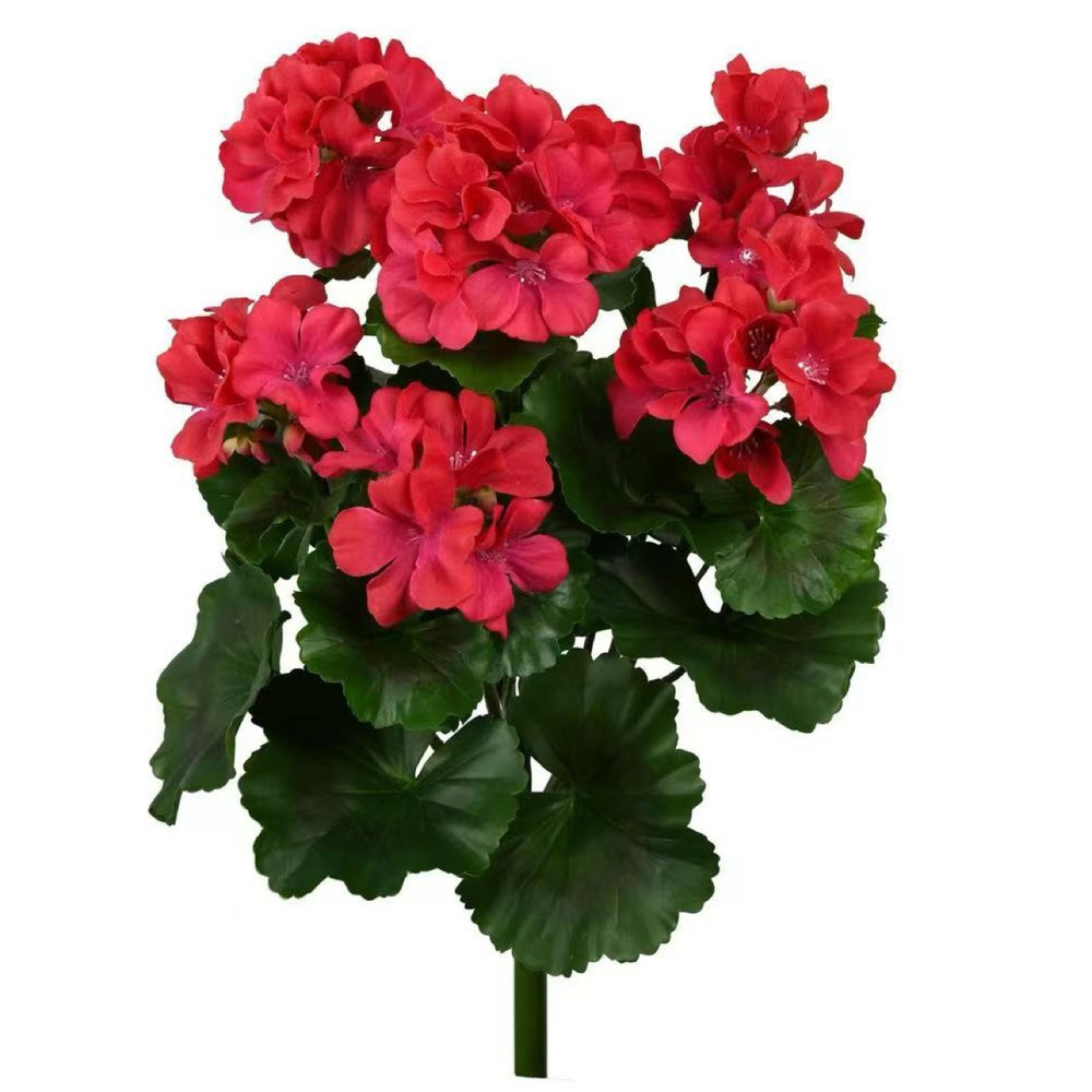 Герань красная куст с цветами 43 см