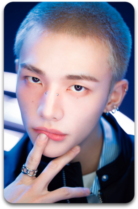 Карта / STRAY KIDS #3444
