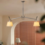Ceiling design lamp Tolomeo by Artemide (2 lampshade )