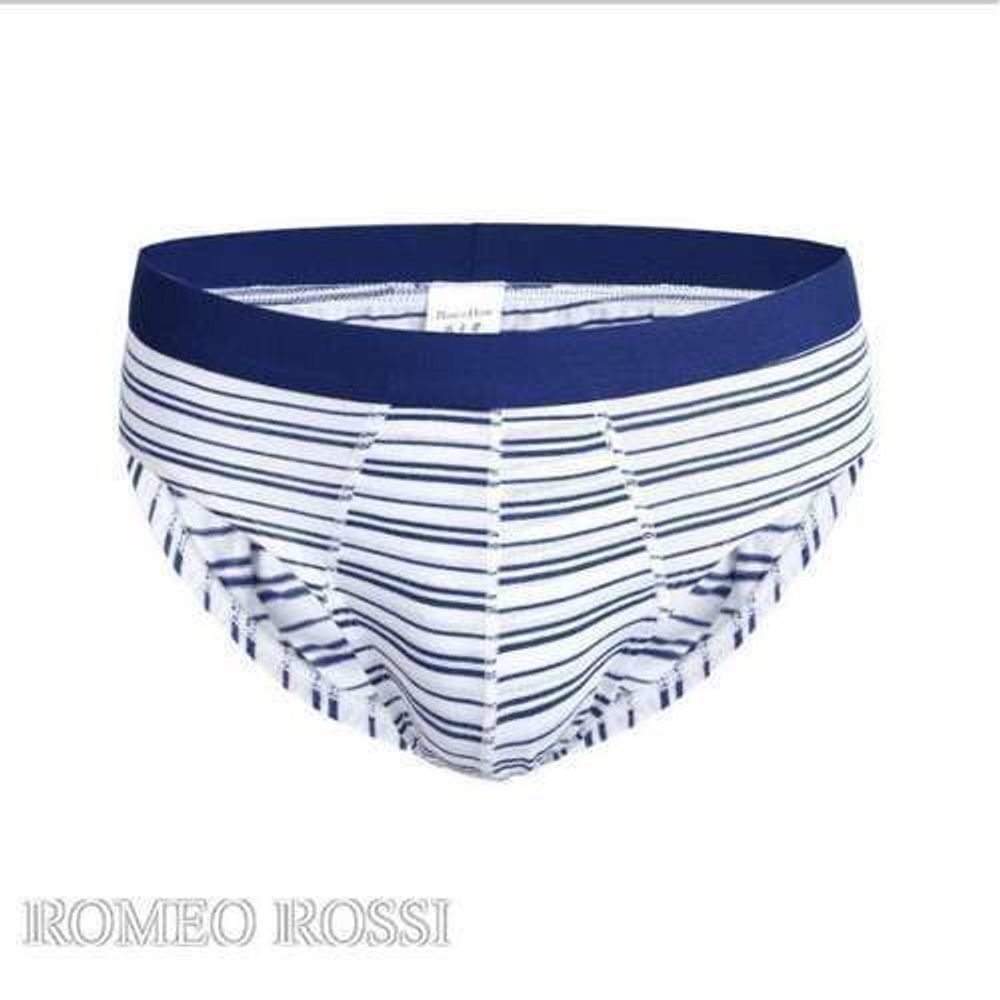 Мужские трусы брифы бело-синие Romeo Rossi RR2010-9