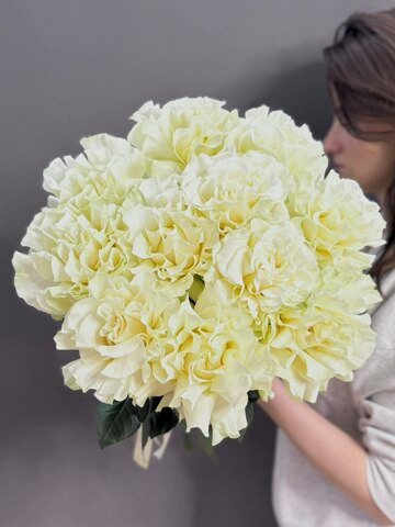 Букет из 11 белых французских рох под ленту