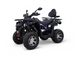 Квадроцикл бензиновый MOTAX GRIZLIK 200 ULTRA BIG