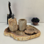 Набор из окаменелого дерева 4 предм Fossil Set NF-63073 поднос 30см*40см