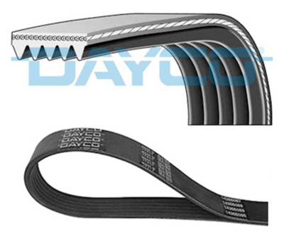 DAYCO - 5PK962-DAY - V-Ribbed Belt