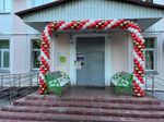 Арка из шаров Полина