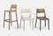 Cassia Stool