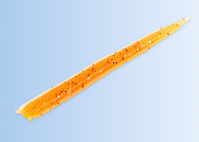 Lugworm