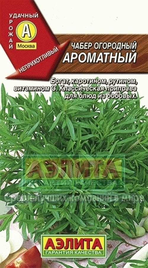 Чабер огородный Ароматный