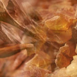 Dr. Vranjes Ambra Red Box диффузор 250 мл красная подарочная упаковка (аромат амбра)