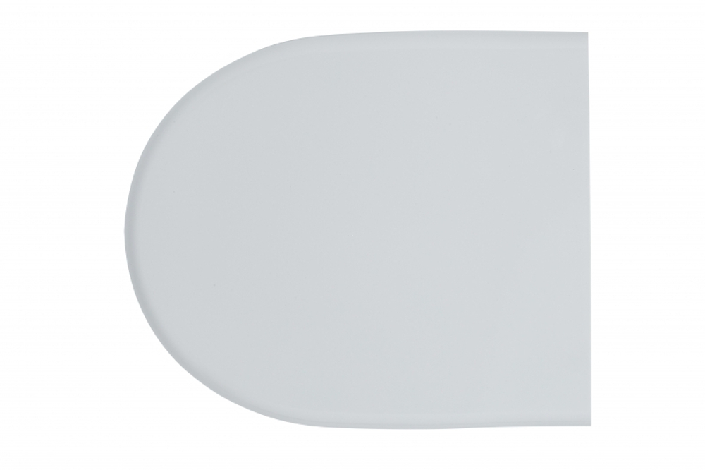 СИДЕНЬЕ ДЛЯ УНИТАЗА С КРЫШКОЙ AVN SD 06M