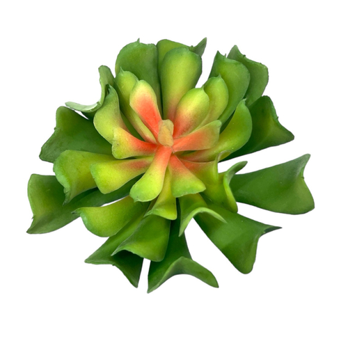 Суккулент 131 зеленый