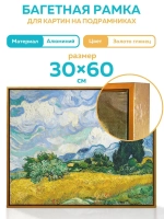 Металлическая багетная рама 30х60 см