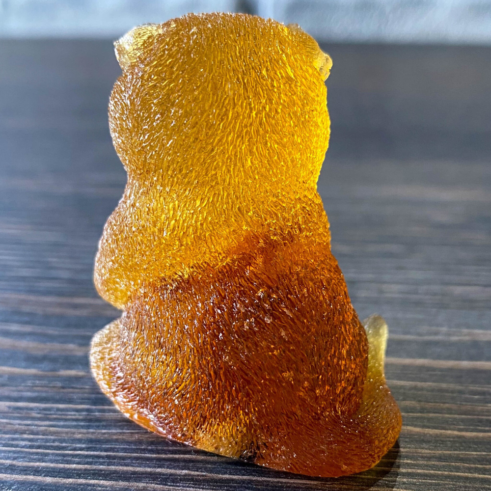 Кот забавно сидит