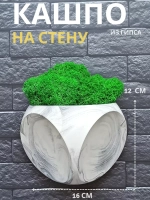Настенное кашпо  мрамор со мхом
