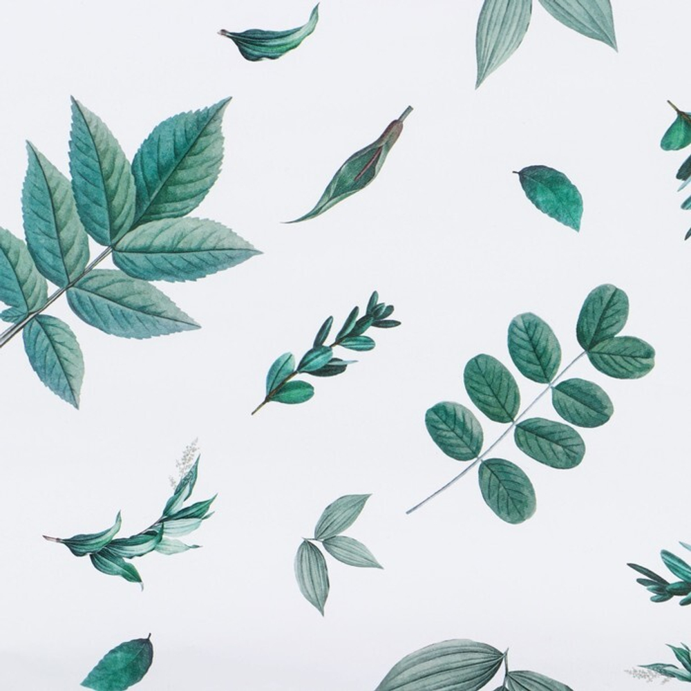 Бумага упаковочная глянцевая «Листочки», 70 х 100 см