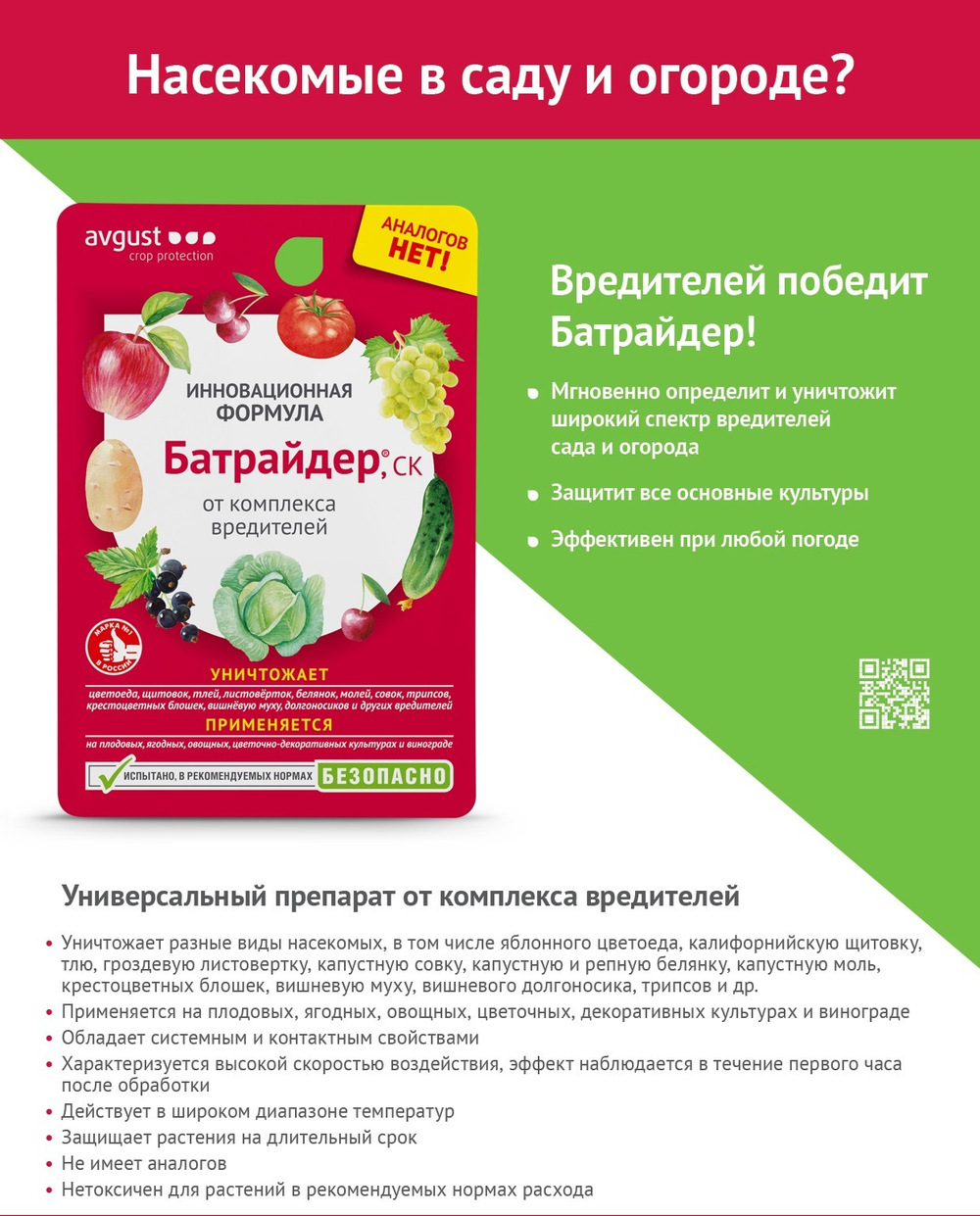 БАТРАЙДЕР