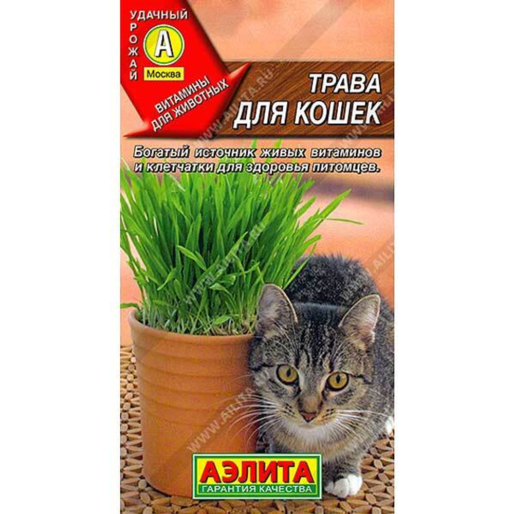 Трава для кошек Аэлита Ц