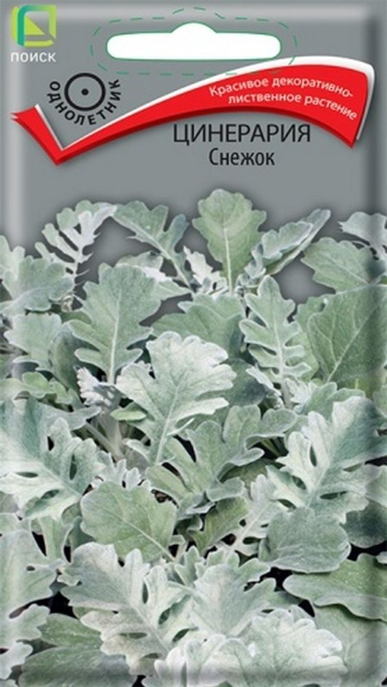 Цинepapия пpимopcкaя "G. Снежок" 0,1г., Россия.