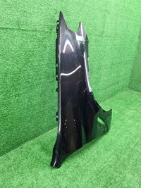 Крыло переднее правое BMW X3 G01 X4 G02 (17-24)