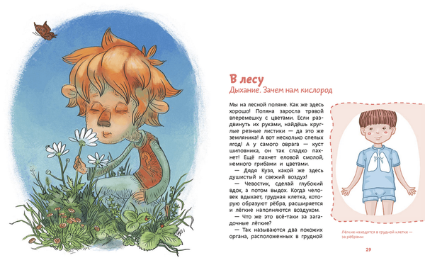 Как устроен человек. Детская энциклопедия (мягкая обложка)