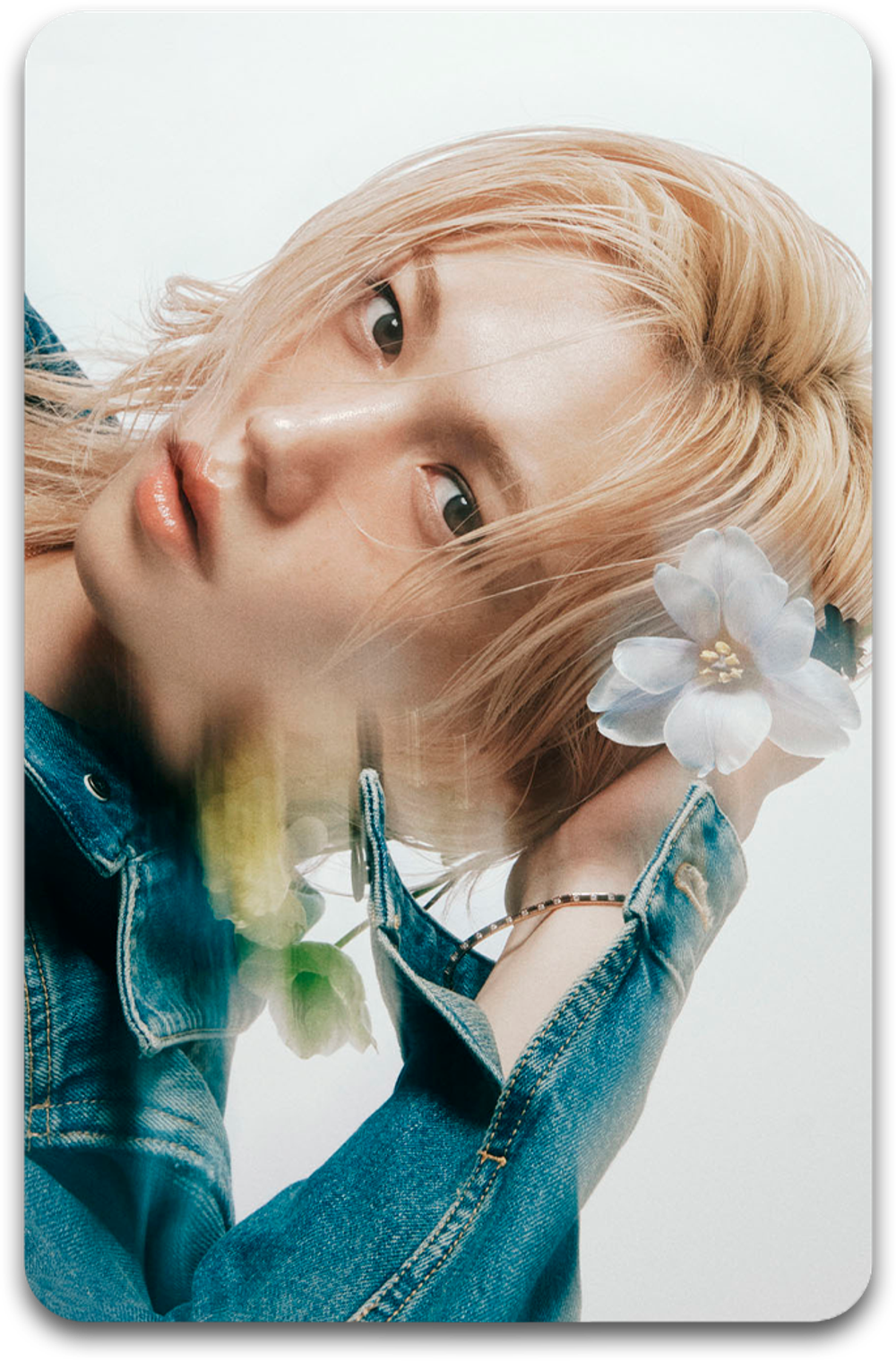 Карта / STRAY KIDS #5218