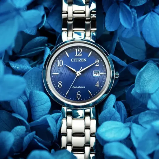 Наручные часы Citizen EW2690-81L