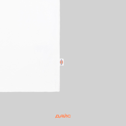 Футболка мужская Dickies Clancy Heavyweight