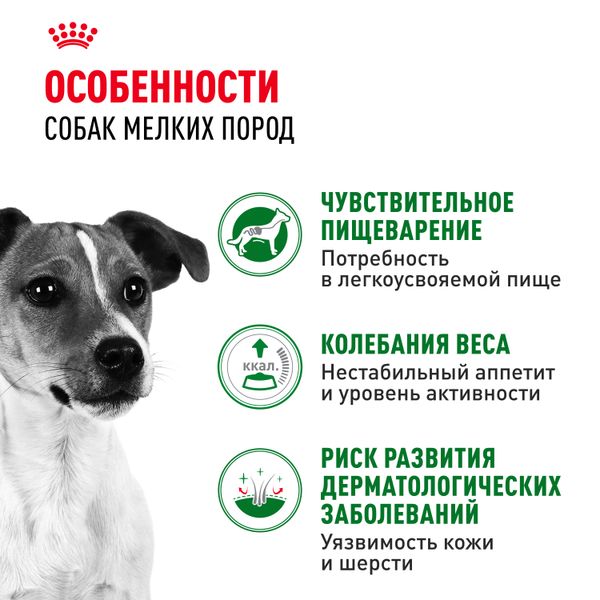 Пауч Royal Canin Mini Adult для взрослых собак мелких размеров от 10 месяцев, кусочки в соусе
