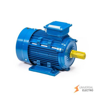 Электрический двигатель 5АИ 100 L4 4/1500 IM 1081