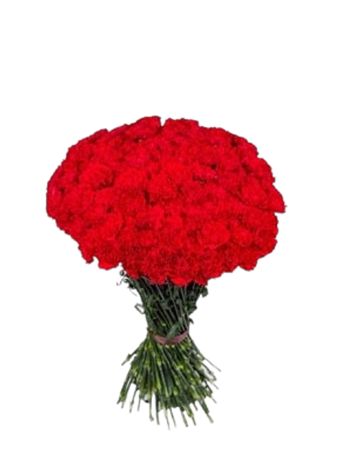 Траурный букет из живых цветов «100 красных гвоздик»