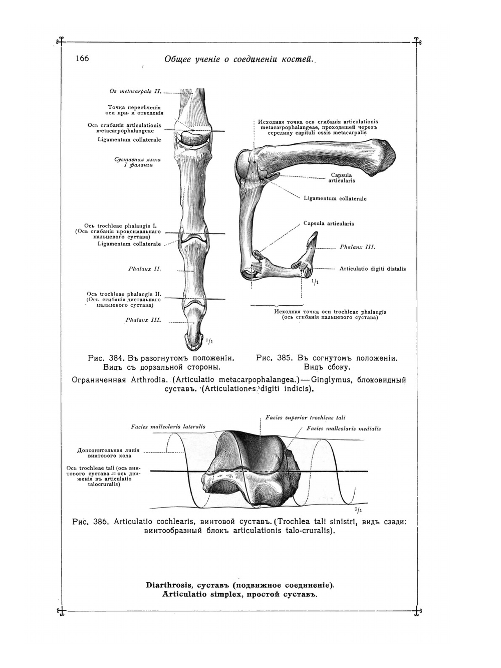 Анатомический атлас для студентов и врачей. Выпуск 2 | С. Толд