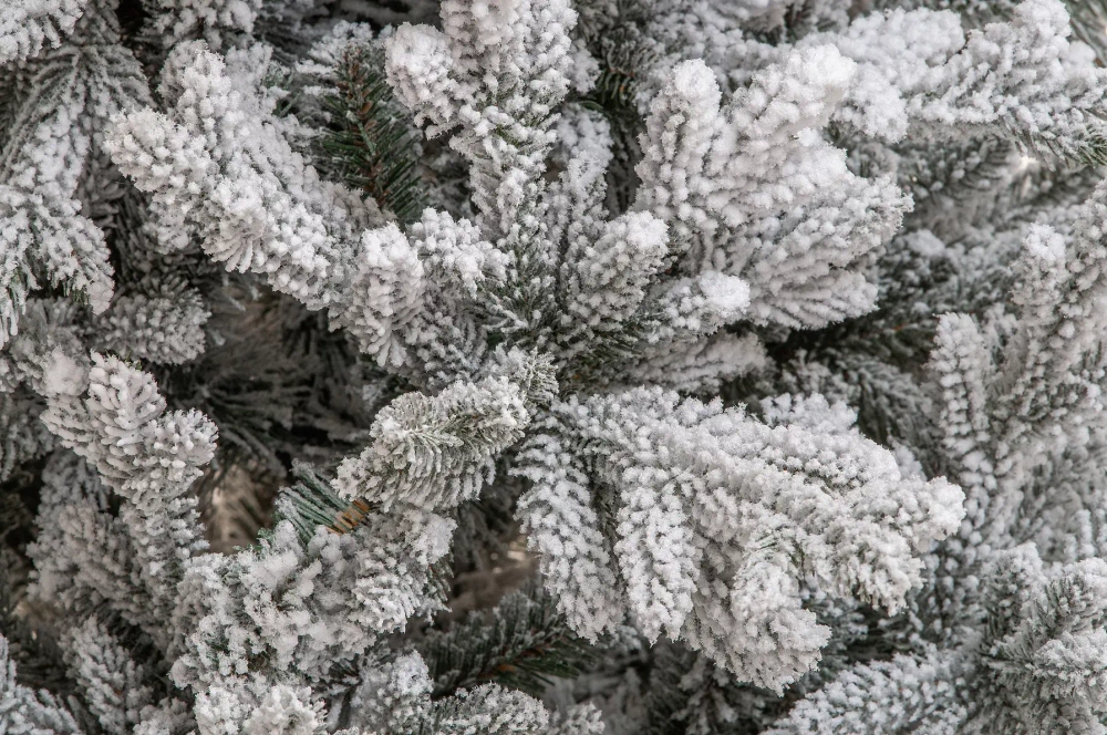 Искусственная елка Имперская заснеженная 210 см., литая хвоя+пвх, ЕлкиТорг (145210)