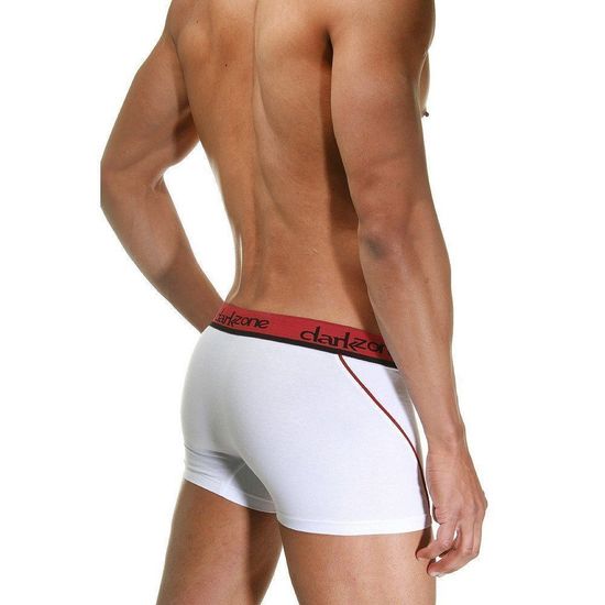 Трусы мужские боксеры белые DARKZONE DZN3102