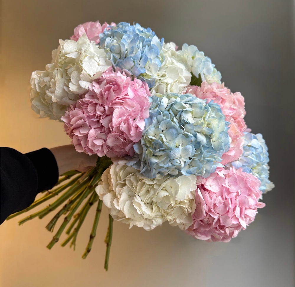 Букет из гортензии "Сладкая вата"