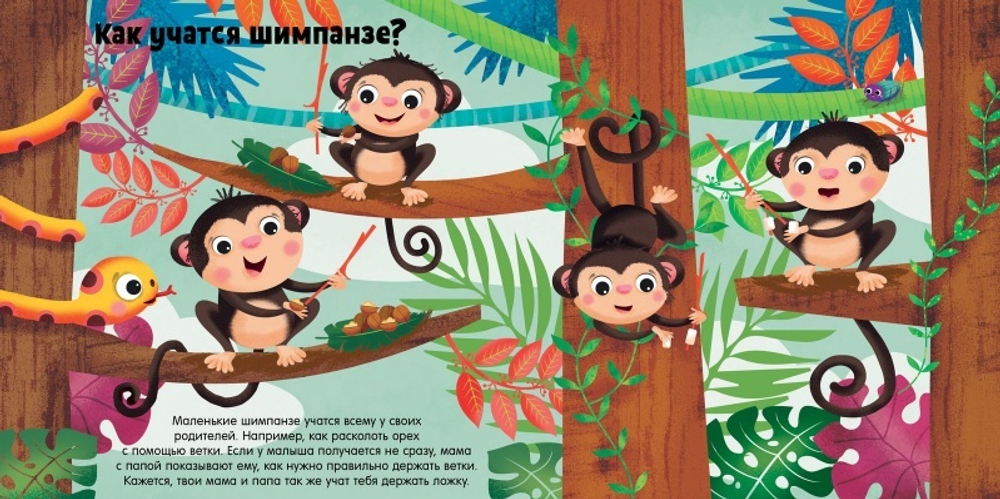 Животные и их малыши. Пора учиться!
